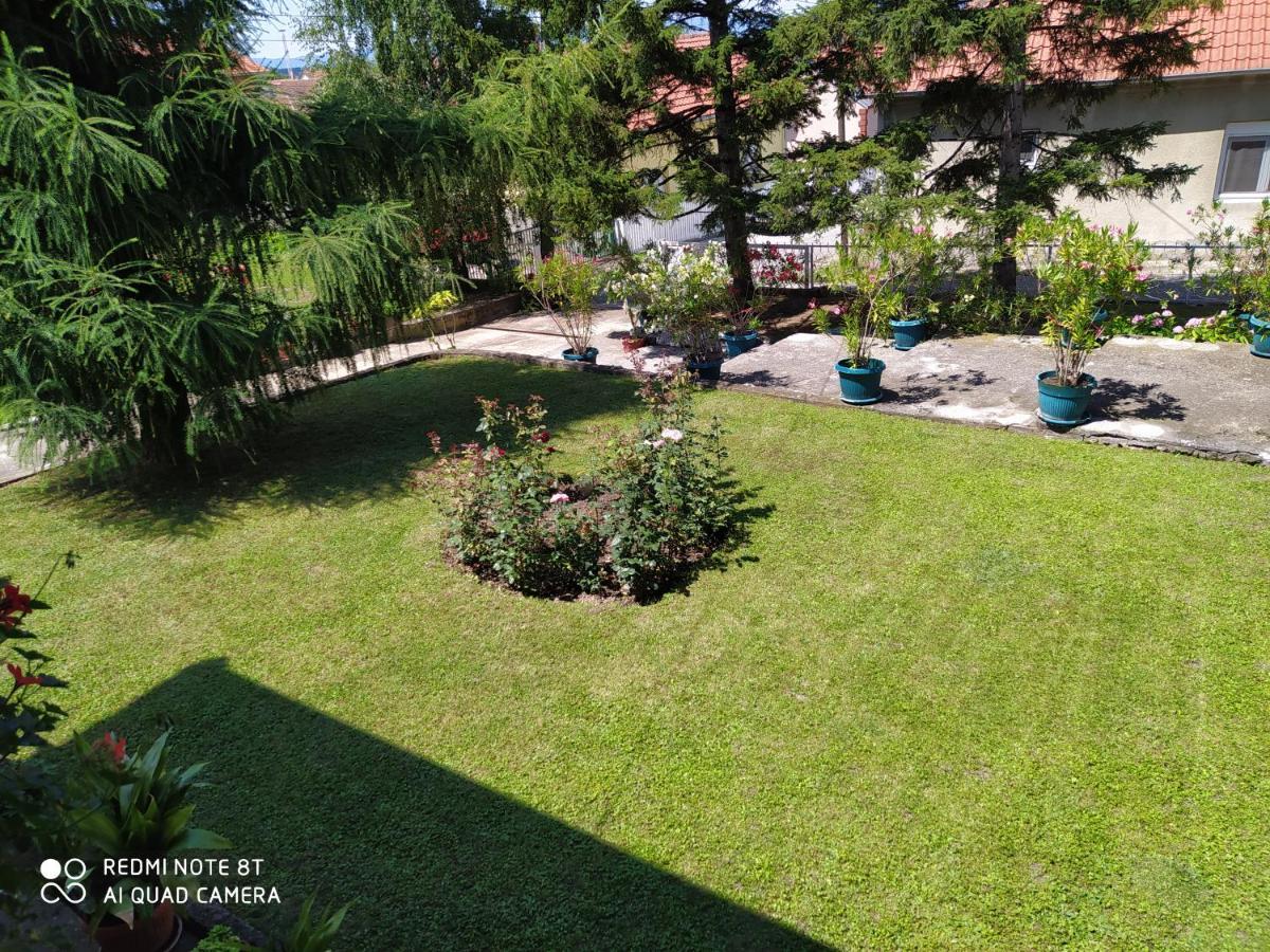 Apartment & Rooms Aleksandar Golubac Extérieur photo