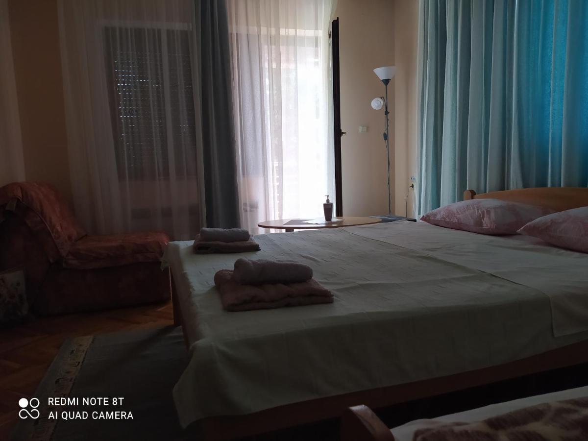 Apartment & Rooms Aleksandar Golubac Extérieur photo